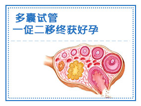 多囊试管一促二移终获好孕！