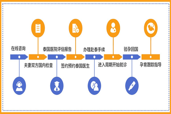 泰国做试管婴儿流程