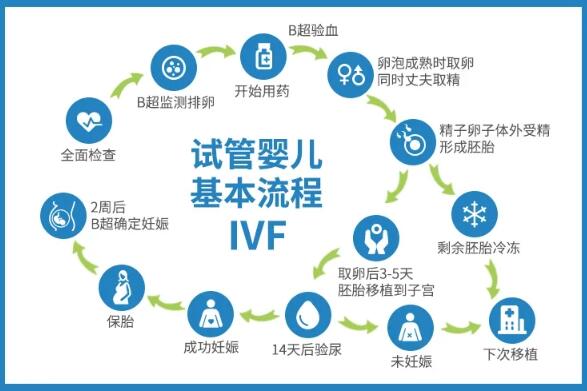 试管助孕的流程